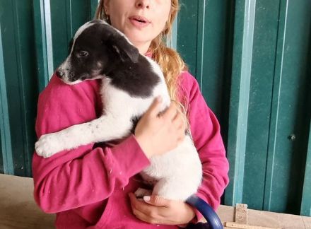 Mallik, neugierig und aufgeschlossen die Welt zu entdecken.....4M, 29 cm