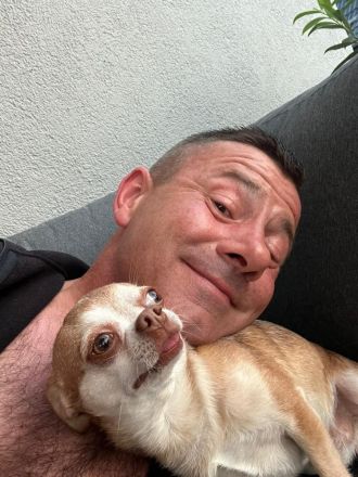 Chihuahua Rüde reinrassig