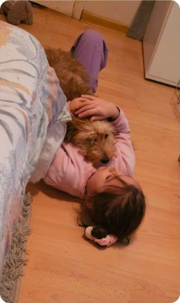 Nora - sucht ein neues Zuhause!