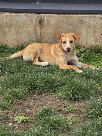 Dobby - noch etwas zurückhaltend!