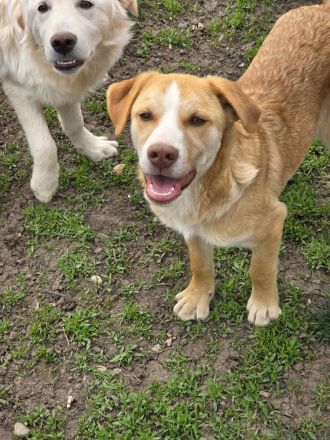 Dobby - noch etwas zurückhaltend!