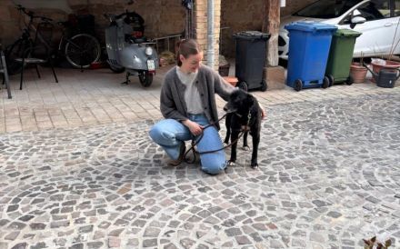 Zuhause gesucht für Nistru