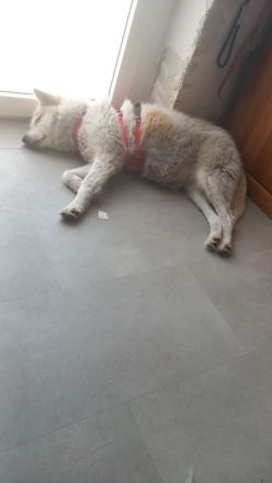 Marry Ann wünscht sich eine 2 Chance und sucht ihren Menschen