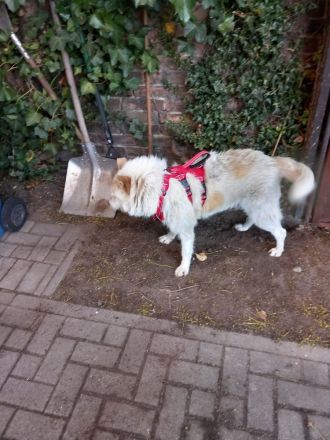 Marry Ann wünscht sich eine 2 Chance und sucht ihren Menschen