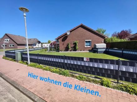 Süßer Welpe sucht ein liebevolles Zuhause