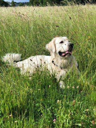 Mumpitz sucht ein neues, liebevolles Zuhause