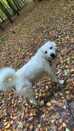 Mumpitz sucht ein neues, liebevolles Zuhause