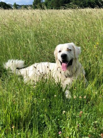 Mumpitz sucht ein neues, liebevolles Zuhause