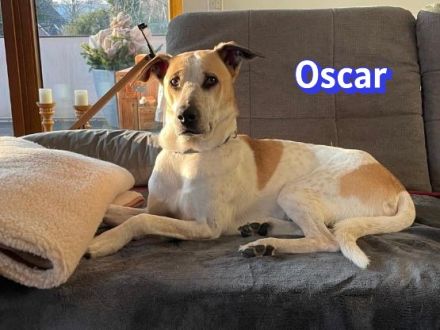 Oscar, 12/20 - braucht eine echte Chance