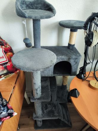 Langhaare Persische Katze sucht ein neues Zuhause