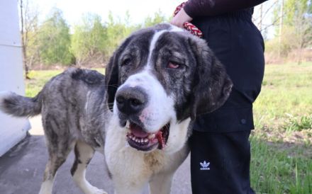 Happy End gesucht für Lucio