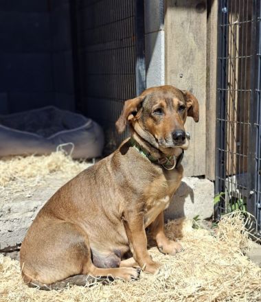 Loki, erst 6 Wochen auf der Welt, sucht er sein Glück