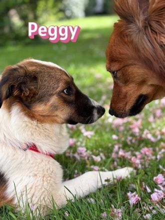 Peggy, 11/25 - süßes Mädel wartet in 40723 Hilden