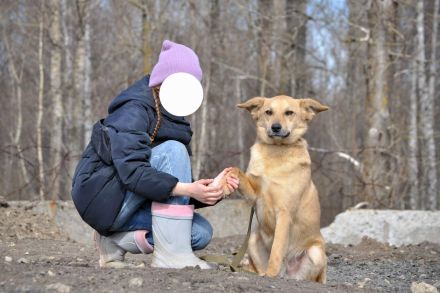 Timmy: Vom Schattenhund zum Herzensbrecher