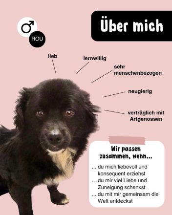 Kleiner Cooper - großes Herz