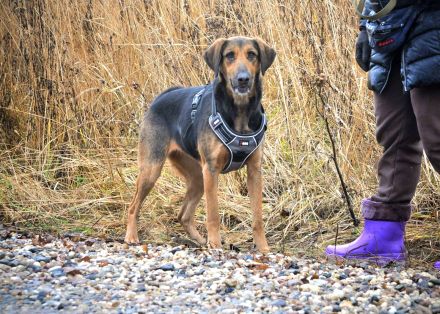 Milana: Elegante Sportlerin und treue Kuschelpartnerin sucht ihr großes Glück