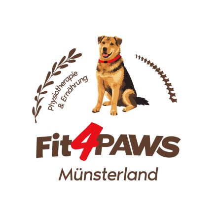 Fit4PAWS im Münsterland mobile Tierphysiotherapie