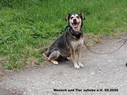 Fiona sehr lieb und freundlich