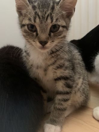 Wir dürfen ausziehen 🥰