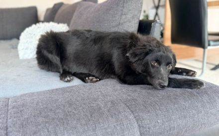 Klein Mü sucht einen Einzelplatz