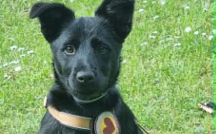 Tera sucht Familienanschluss