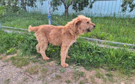 Jonne sucht seine Familie