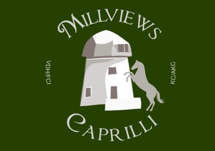 Millviews