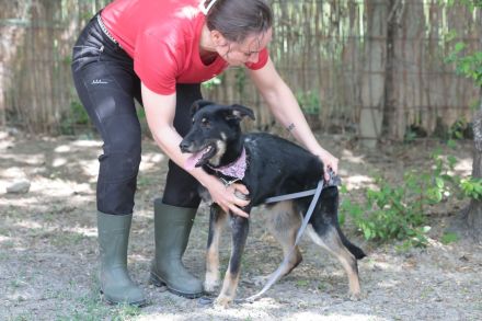Lana - sucht geduldige Menschen mit Feingefühl