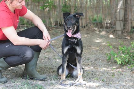 Lana - sucht geduldige Menschen mit Feingefühl