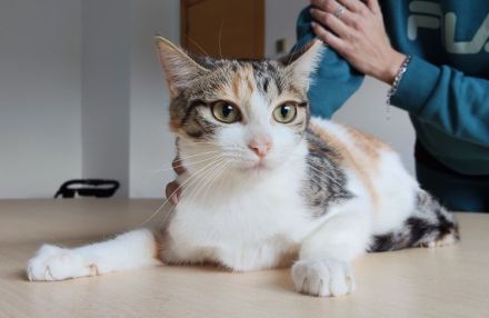 Magnolia und Melissa brauchen ein liebevolles Zuhause! Eilt!