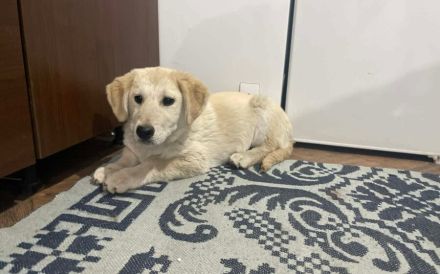 Hübsche Stella sucht Familie