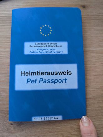 Abgabebereit!