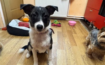Ella ist bereit für ein neues Leben