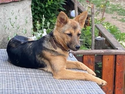 Süße Tini wartet auf ihre Familie
