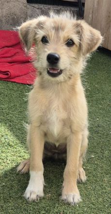 Osita