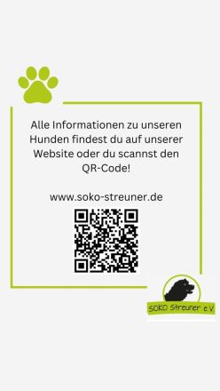 Sugar möchte in ihrem eigenen Zuhause glücklich werden
