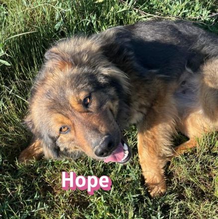 Hope, 05/24 - Die, die immer lacht