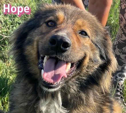 Hope, 05/24 - Die, die immer lacht