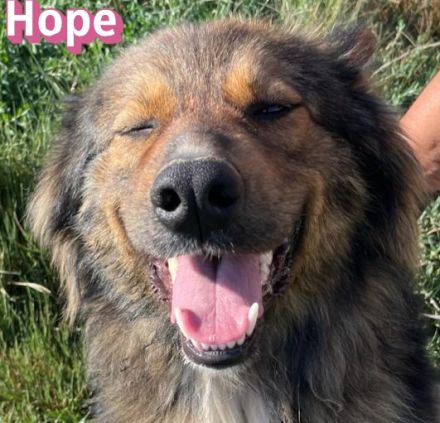 Hope, 05/24 - Die, die immer lacht
