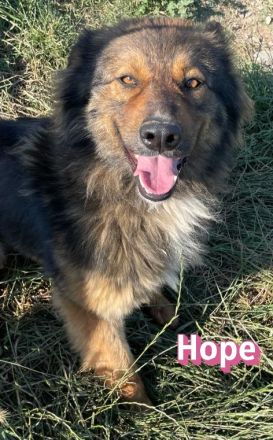 Hope, 05/24 - Die, die immer lacht