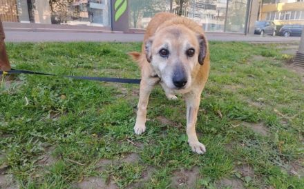 Fenna sucht ihre Herzensmenschen