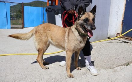 Sportliche und freundliche Amma sucht Zuhause