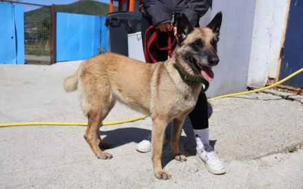 Sportliche und freundliche Amma sucht Zuhause