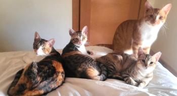 Thelma, Maya und Cashi