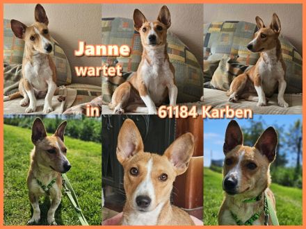 Janne sucht eine aktive Familie, für viel Spaß zusammen zu haben und anschließend Kuschelzeit