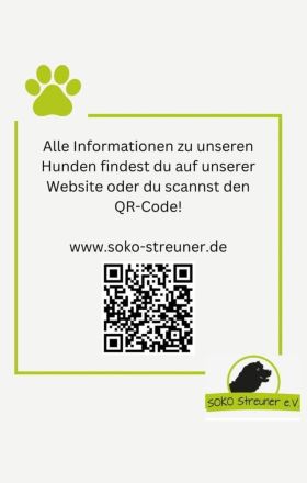 Effie, eine süsse Maus, möchte raus aus dem Shelter und ihre Familie kennenlernen