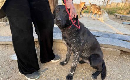 Livia sucht eine aktive Familie