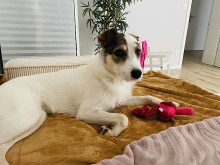 Peppi ein sehr liebes Mädchen