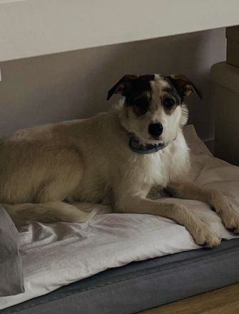 Peppi ein sehr liebes Mädchen