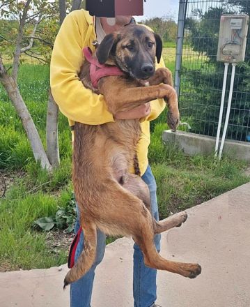 George und Mali, freundlich und menschenbezogen